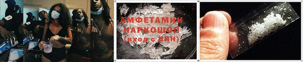 сатива Абинск