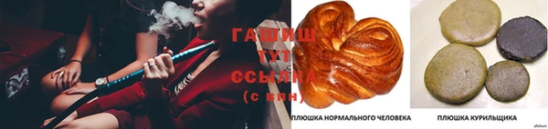 мдпв Киров