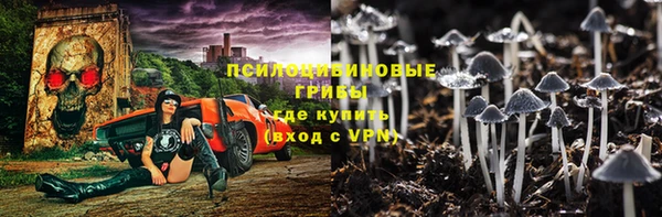 соль курить ск Ладушкин